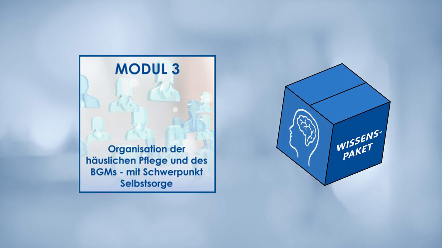 Modul 3 - BLICKWINKEL – Beruf und Pflege vereinbaren